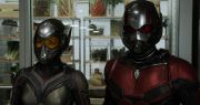 antman-a-wasp