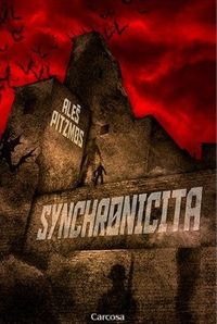 Recenzia – Aleš Pitzmos: Synchronicita