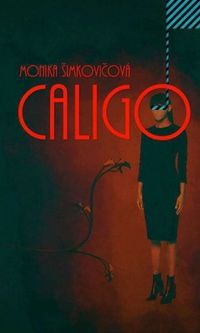 Recenzia – Monika Šimkovičová: Caligo