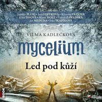 Recenzia – Vilma Kadlečková: Led pod kůží (audiokniha)