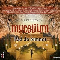 Recenzia – Vilma Kadlečková: Pád do temnot (audiokniha)