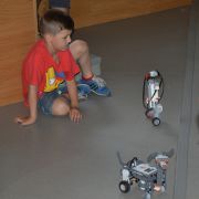 Robohranie - roboticky psik a jeho kamarat