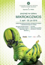 Mikrokozmos