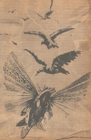 Cesta slepých vtákov - obálka - mladé letá 1969