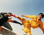 Kung Fu Soccer.jpg