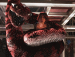 Boa vs. Python.jpg