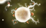Botanicula 2