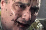 Destination Infestation.jpg