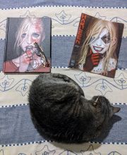 Harleen dvojita obalka