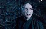 harrypotter5pic86.jpg