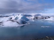 Jazero Jókulsaurlón, Island-Lilja