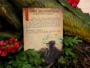 Lesný vreteničí drak - opis