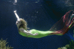 Mermaids.jpg