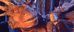 nefka_dracie_srdce.jpg