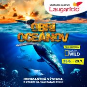 Obri oceánov