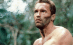Predator.jpg