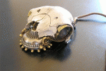 steampunk-skull-mouse_1.jpg