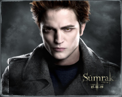 sumark4