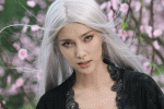 The Forbidden Kingdom.jpg