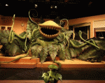 The Little Shop of Horrors.jpg