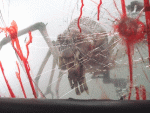 The Mist.jpg