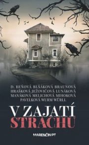 V zajatí strachu - obálka