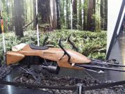 VIECC 2016   Klzak z planety Endor