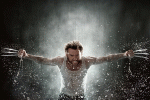wolverine-perex.jpg