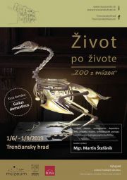 Zivot po živote